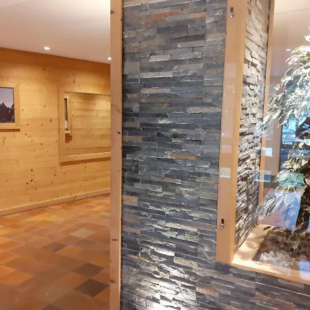 Front De Neige Wifi Le Tyrol 4 Personnes Apartment Les Deux Alpes